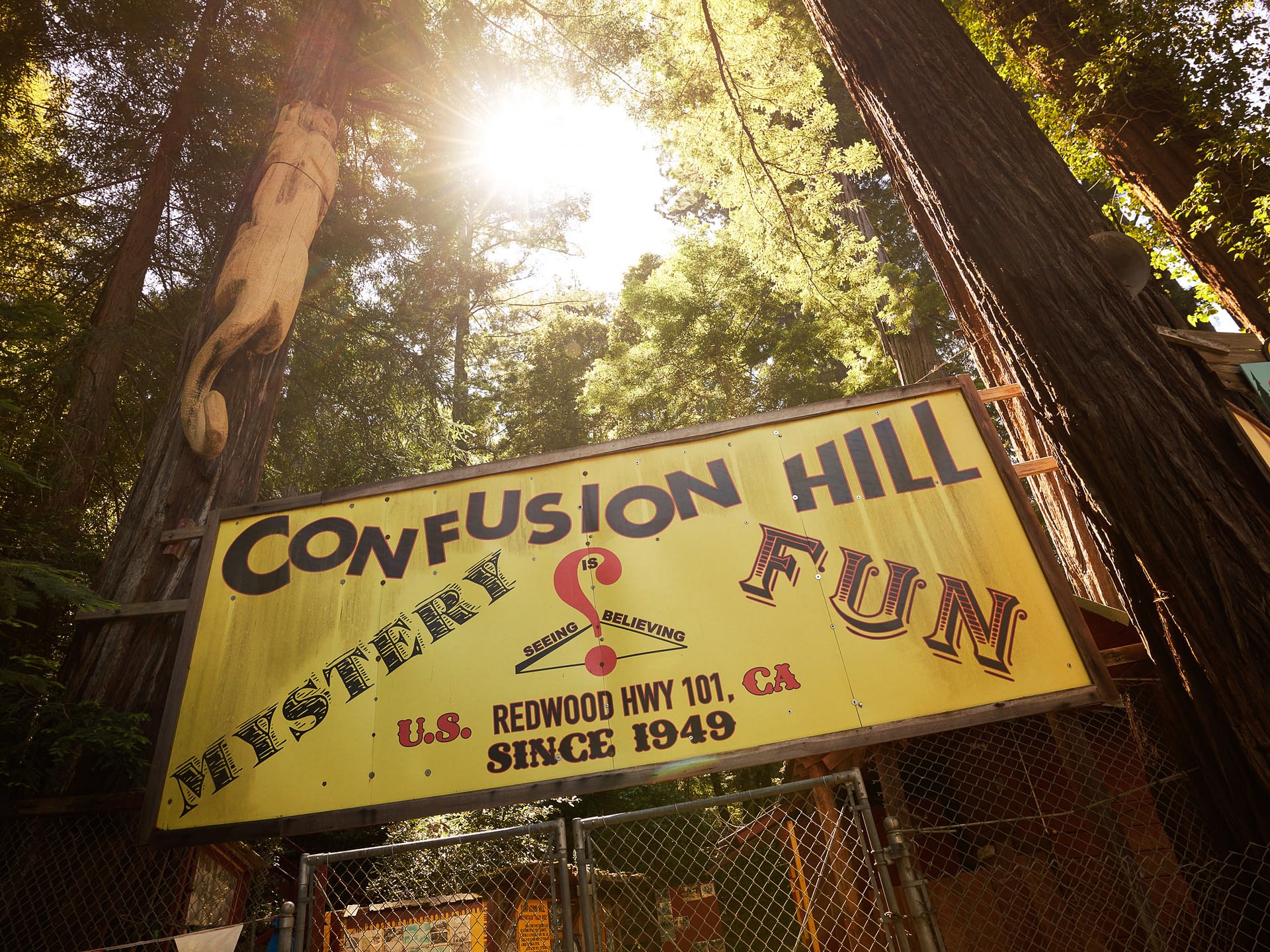 CONFUSION HILL by Ross Feighery
